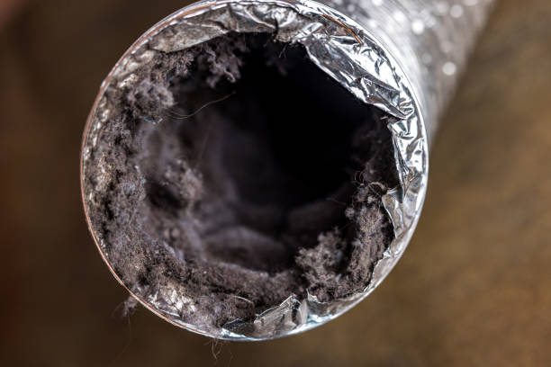 Best Air Duct Cleaning Near Me  in West Canton, NC