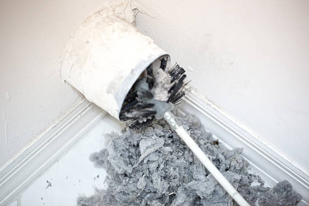 Best Dryer Vent Cleaning Services  in West Canton, NC